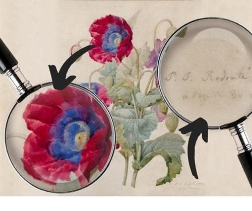 visite en famille - Cherche et trouve au musée (Dés 5 ans)